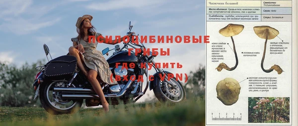 а пвп мука Алагир